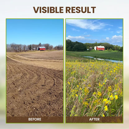 Kashio™ Soil Activator (BUY 1 GET 1 FREE)