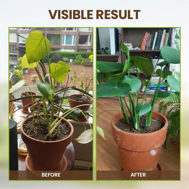 Kashio™ Soil Activator (BUY 1 GET 1 FREE)