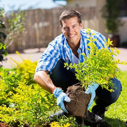 Kashio™ Soil Activator (BUY 1 GET 1 FREE)