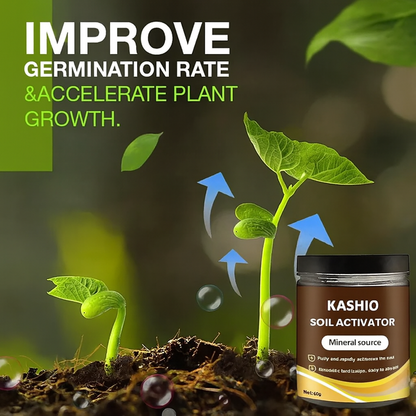 Kashio™ Soil Activator (BUY 1 GET 1 FREE)